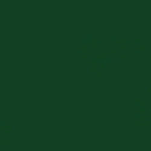 Professional High Performance Gloss Hunter Green Spray Paint (Gloss Hunter Green / 15 Ounce (Pack of 1))