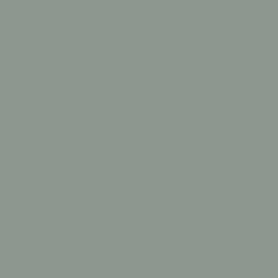 Professional High Performance Stainless Steel Spray Paint (Stainless Steel / 14 Ounce (Pack of 6))