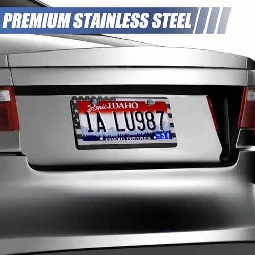 2 Pack License Plate Frames (Grey and Black)