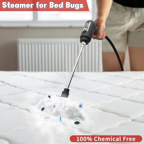 Handheld Steam Cleaner for Home (Red / 16PCs)