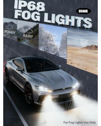 D5S Light Bulb (D5S)