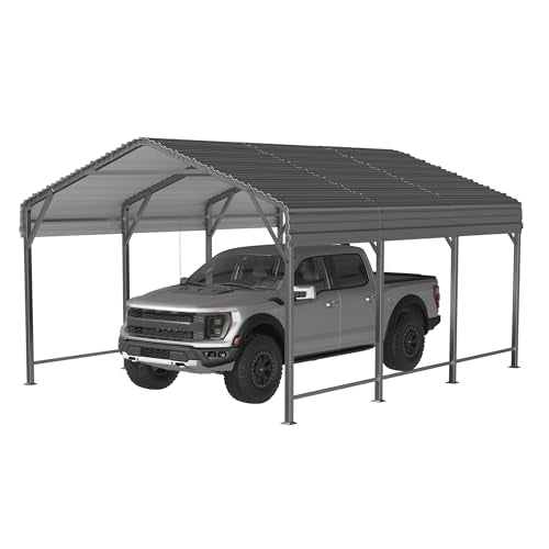 10x15 FT Metal Carport Canopy with Reinforced Base (10x15 FT)