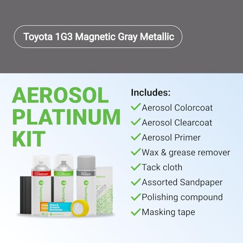 Car Paint Touch Up Spray Kit (Aerosol Spray - Platinum Kit / Magnetic Gray Metallic)