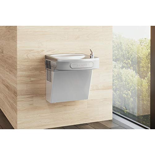 EZS8S Wall Mount ADA Non (Stainless Steel / Non-filtered)