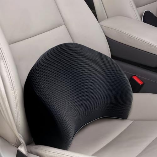 Lumbar Support Pillow for Car (Backsaver-five)
