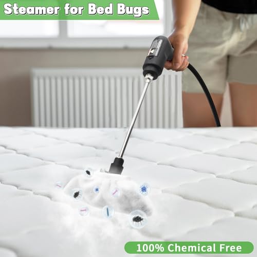 Handheld Steam Cleaner for Home (Light Green / 16PCs)