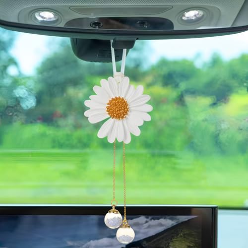 Funny Swinging Duck Car Mirror Hanging Ornament (Ac)