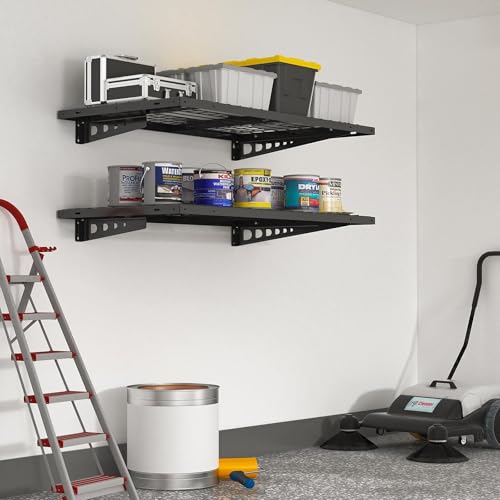 2x4ft Garage Storage (Black / 2 pack-2x4 ft)