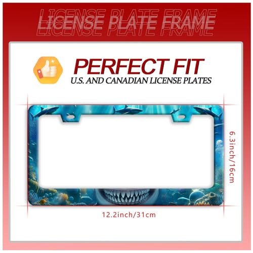 Shark Ocean Fish Stainless Steel License Plate Frame for US Cars Decor (Shark)