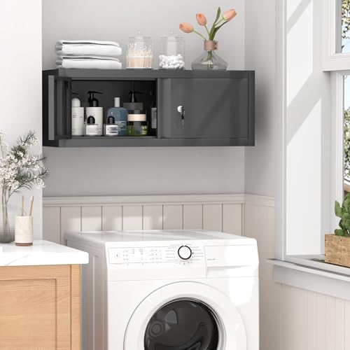 Metal Wall Cabinet with Lock and Doors (Black / 12.8"H)