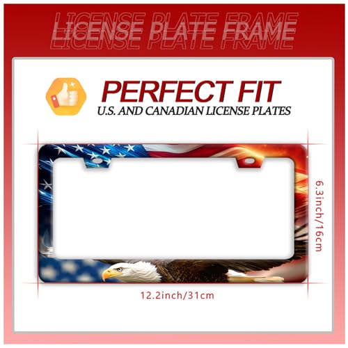 American Flag Eagle Stainless Steel License Plate Frame for US Cars Decor (American Flag Eagle)