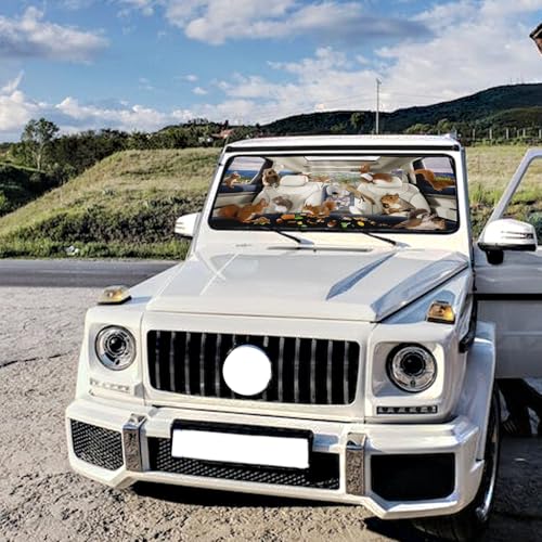 Squirrels Car Shade Front Windshield Umbrella Foldable Windshield Umbrella Sun Visor Car Shade Umbrella Keep Vehicle Cool (One Size / Squirrels)
