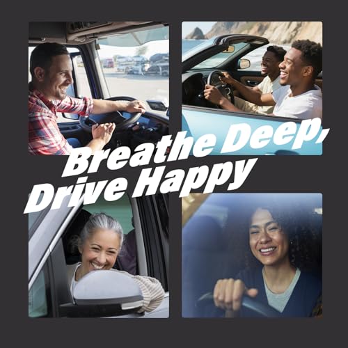 Car Air Freshener Vent Clips