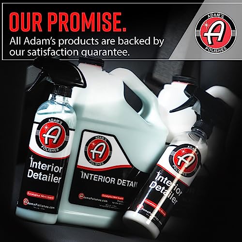 Interior Detailer 16 fl. oz (32 Fl Oz (Pack of 1))