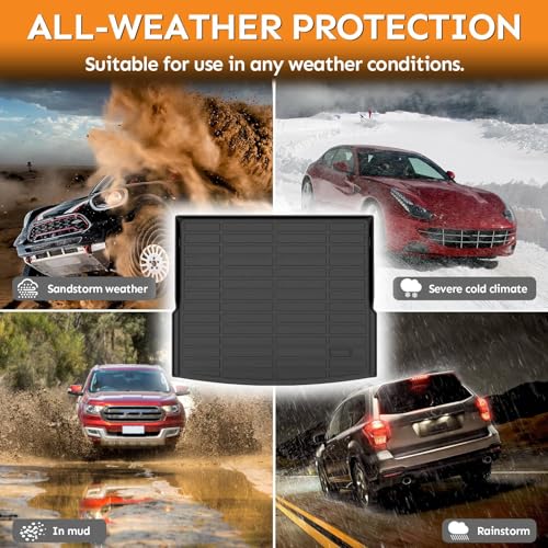 Floor Mats & Cargo Liner for 2014