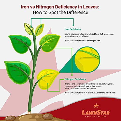 Liquid Iron for Lawns (1 Gallon (Pack of 1))