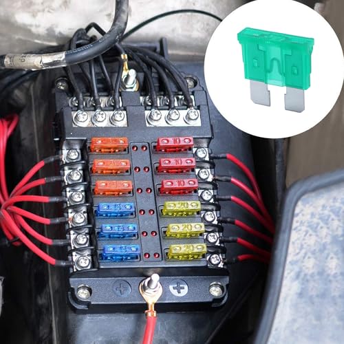 100 Pack Auto Fuses 30 AMP ATC (30 AMP)
