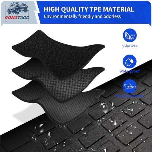 Trunk Mat & Backrest Mats for 2019
