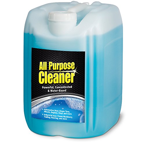 A538PL 5 Gallon Concentrated All Purpose Cleaner Powerful Water (640 Fl Oz (Pack of 1))