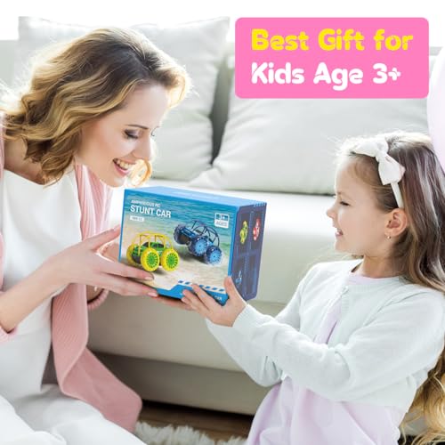 Remote Control Car (Pink)