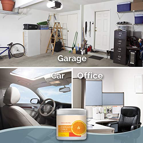 Air Freshener Odor Absorber Gel