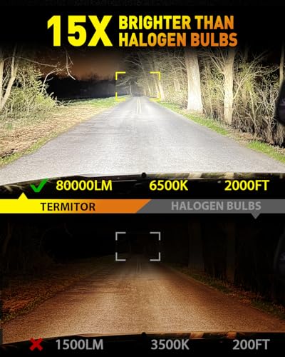 2026 𝐋𝐚𝐭𝐞𝐬𝐭 𝐆𝐞𝐧 D1S Fog Light Bulbs (D1S)