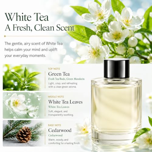 5.7 fl oz Car Air Freshener Refill