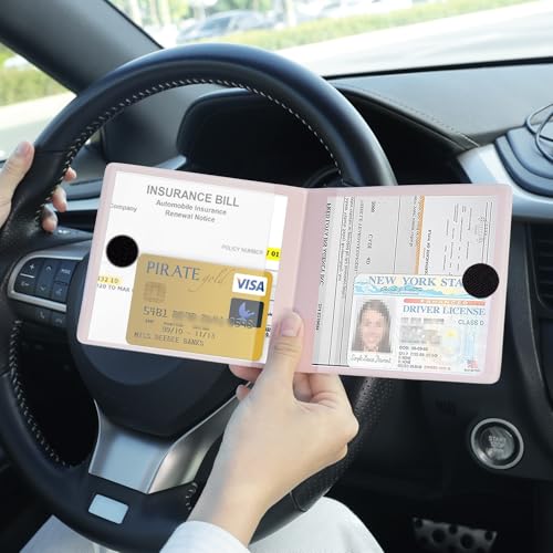 Car Registration and Insurance Card Holder (Mesh Texture Pink)