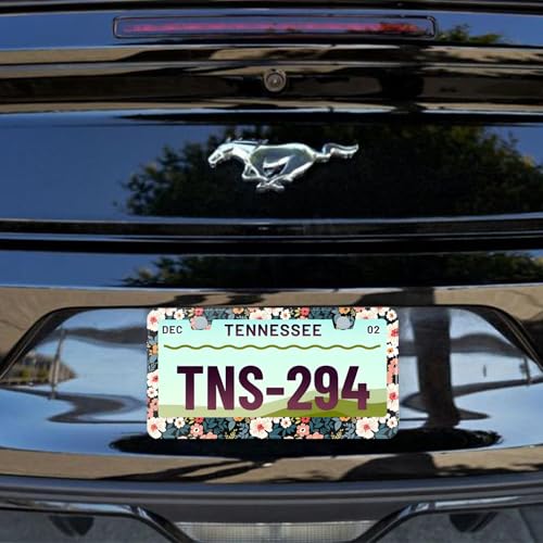 Folk Floral License Plate Frame Colorful Flowers Stainless Steel License Plate Frames Holder Covers Rust (Folk Floral)