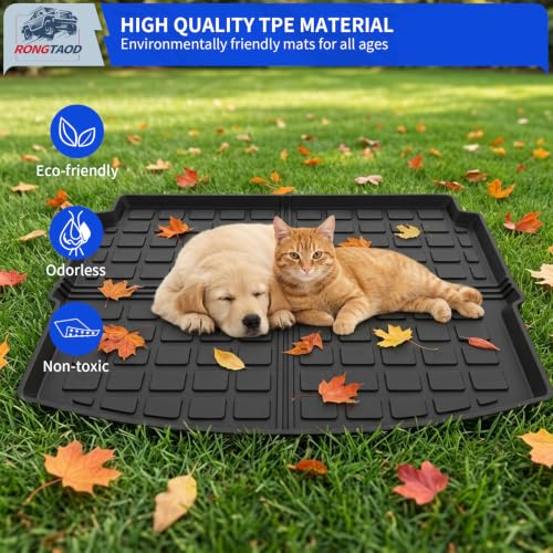 Cargo Mat & Backrest Mats for 2021