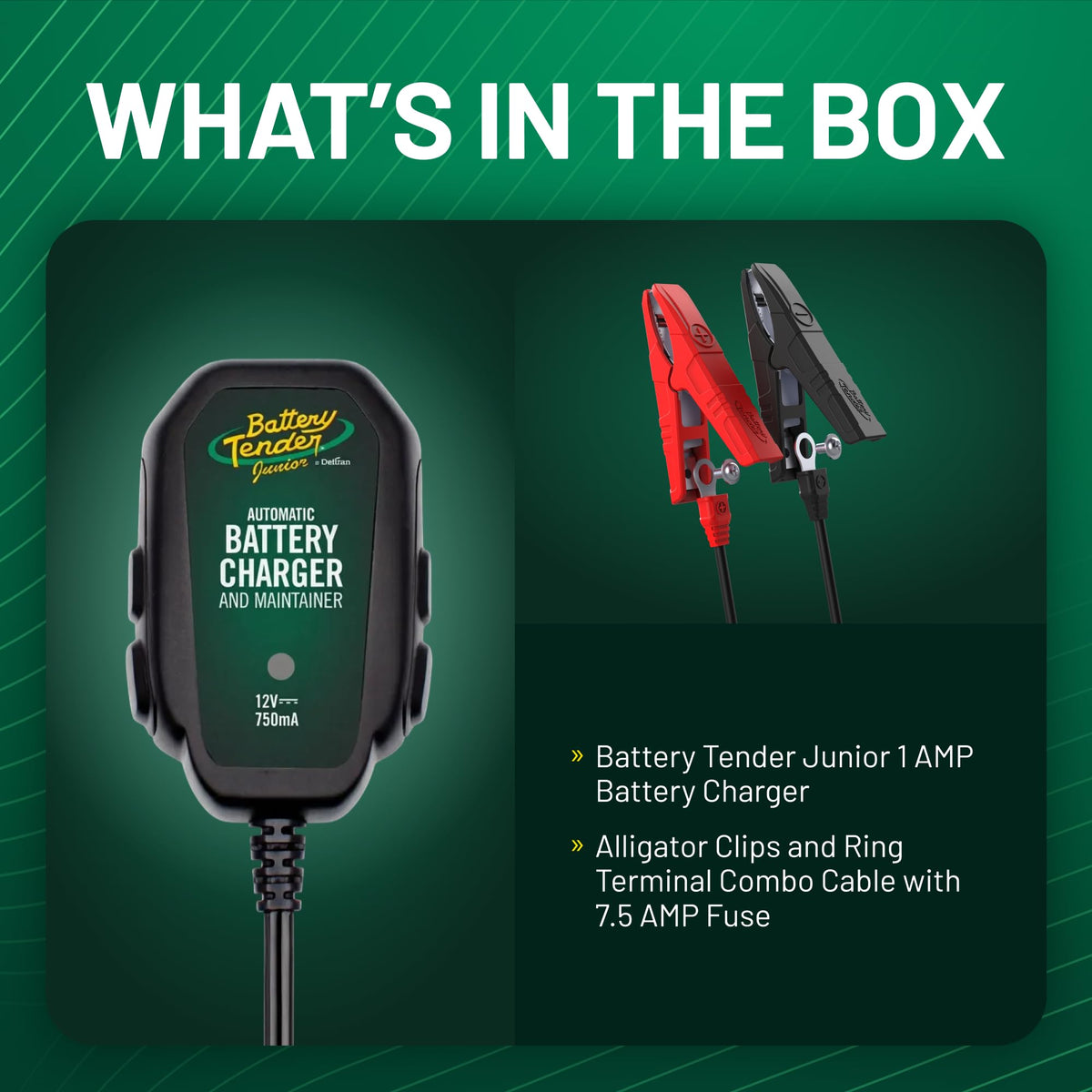 Junior 12V 800mA Battery Charger and Maintainer for Lead Acid and Lithium Batteries (Charger and Maintainer)