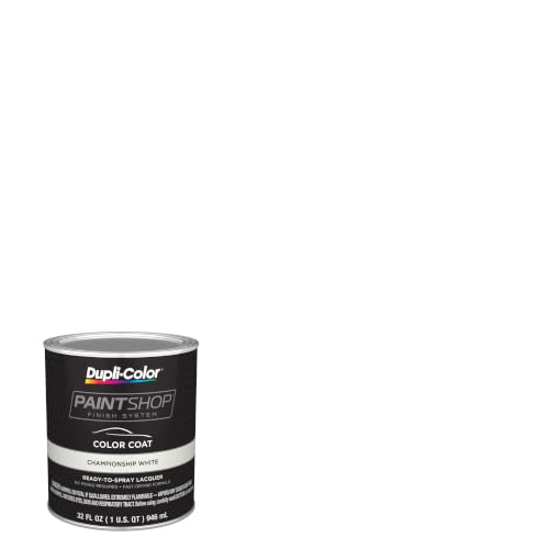 Paint Shop Finish System (Championship White / 32 Fl Oz (Pack of 1) / Step 2)