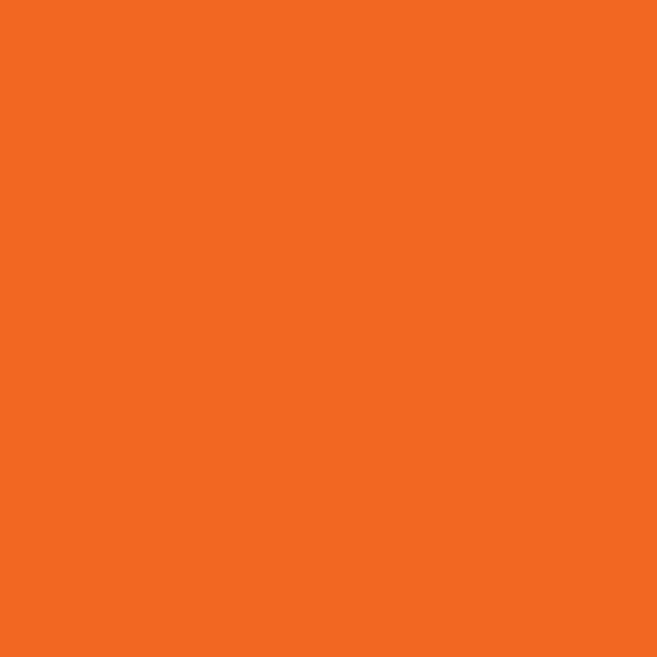 Professional High Performance Gloss Safety Orange Spray Paint (Gloss Safety Orange / 15 Ounce (Pack of 1))