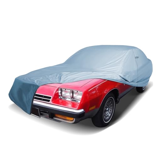 Car Cover Waterproof All Weather for 1964 (52. Skylark 1964-1972 / Sky Gray)