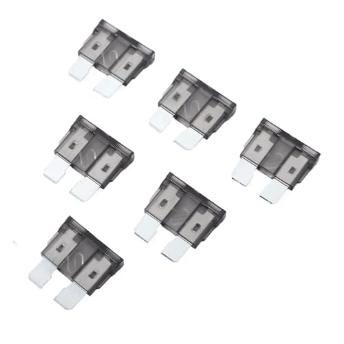 100 Pack Auto Fuses 2 AMP ATC (2 AMP)