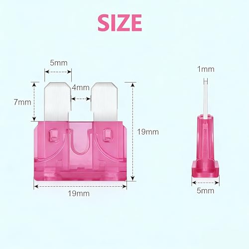 80Pcs) 4 Amp Standard Fuse, 4A Car Blade Fuses for Car/RV/Truck/SUV/Motorcycle/Boat (4A)