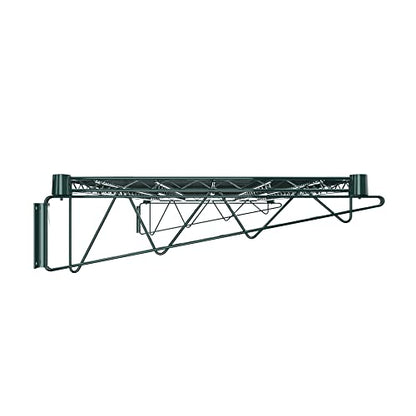 24" x 48" Green Epoxy Wire Wall Mount Shelf (Green / 24" x 48")