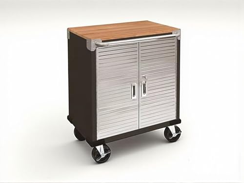 Heavy Duty Rolling Storage Cabinet with Wheels and Drawers (2 Door (28" W x 18” D x 34.5" H) / Graphite)