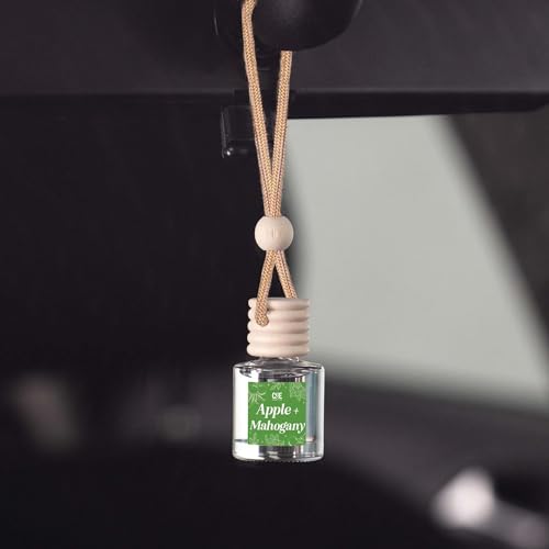 CANDECraftCo 2 Pack Hanging Car Air Freshener Diffuser for Essential Oils