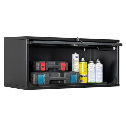 Metal Storage Cabinet Black Wall Cabinets with Locking Door (13"D x 31.5"W x 13.7"H / Black)