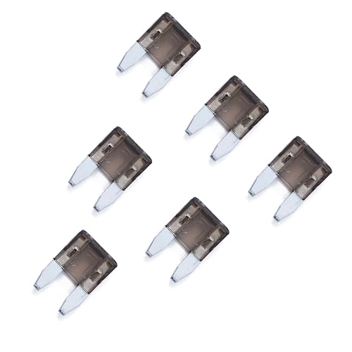 100 Pack Auto Fuses 2 AMP APM (2 AMP)