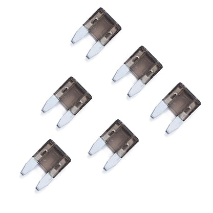100 Pack Auto Fuses 2 AMP APM (2 AMP)