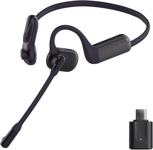 P200b Pro Wireless Headset with Mic for Work (USB-C)