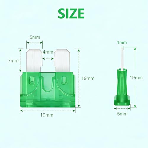 80Pcs) 30 Amp Standard Fuse, 30A Car Blade Fuses for Car/RV/Truck/SUV/Motorcycle/Boat (30A)