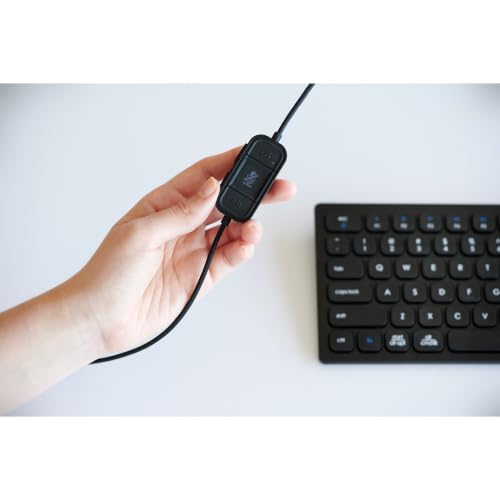 H1000 USB C On (USB-C/On-ear / Black)
