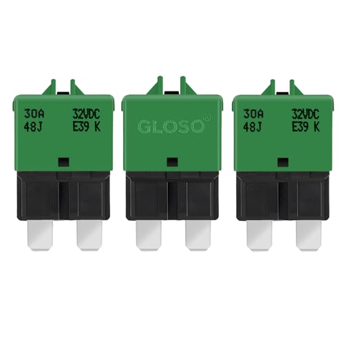 Circuit Breaker Fuse E39 (3 Pack / 30A)