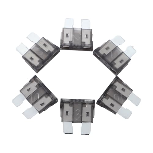 100 Pack Auto Fuses 2 AMP ATC (2 AMP)
