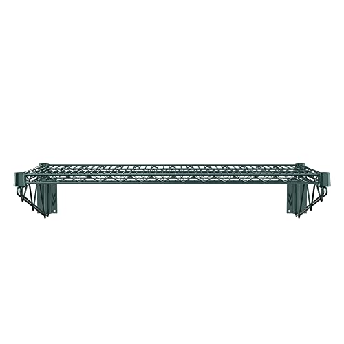 18" x 36" Green Epoxy Wire Wall Mount Shelf (Green / 18" x 36")