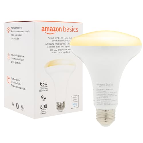 Smart BR30 LED Light Bulb (1 Pack)