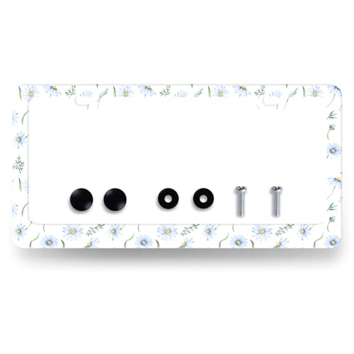Stainless Steel Cute Blue Daisy Flowers License Plate Frame 12.2 x 6.2 Inch (Cute Blue Daisies Flower)